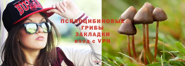 индика Балахна