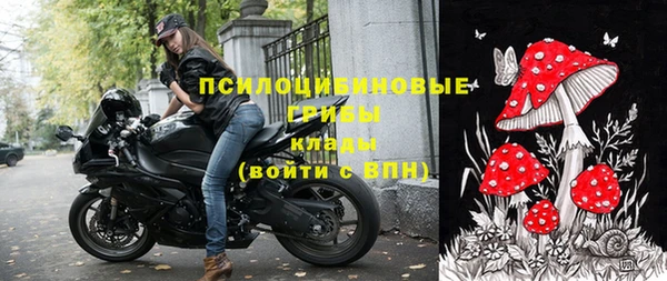 индика Балахна