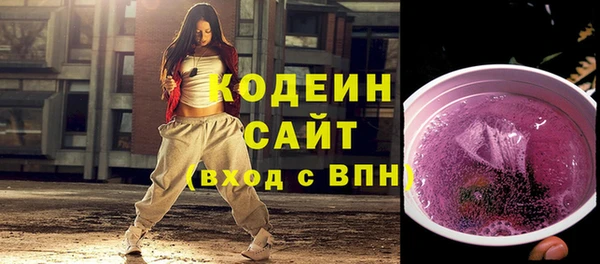 индика Балахна