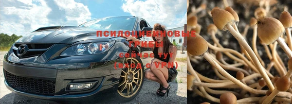 метадон Аркадак